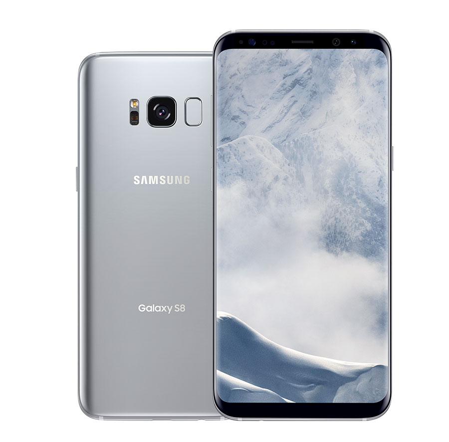 S8 G950F Reparatur
